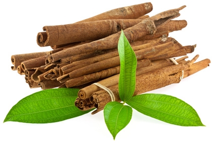 Organic cinnamon leaf essential oil has a characteristic warm, musky, spicy, cinnamon aroma. It has many health benefits. Our oil is steam distilled.
