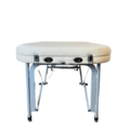Mobile Luxe Lift Adjustable Portable Table