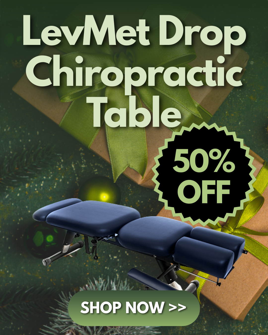 Chiropractic Table Sale